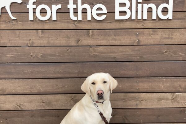 Laurie is seated facing the camera in front of a wooden sign with white letters that read "Guide Dogs for the Blind".