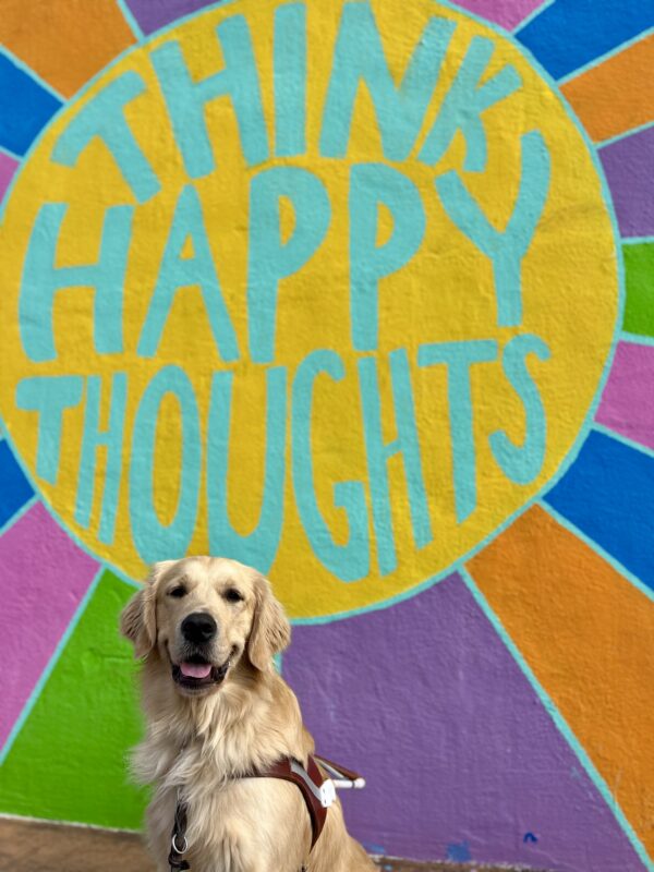 <p>Piper is sitting in front of a colorful mural while wearing his harness. The mural color is yellow, orange, purple, blue, green and pink. In the center of the mural are the words “Think Happy Thoughts”.</p>