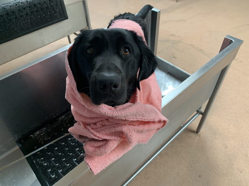 Thali stands in a tub with a coral colored towel wrapped around her after a recent spa day.