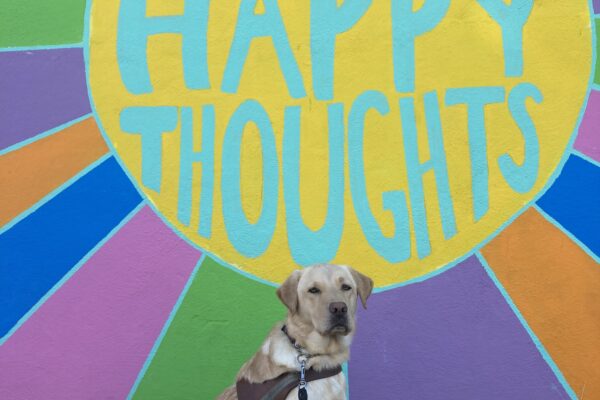 Gertie sits in harness in front of a colorful painted mural that says ‘Think Happy Thoughts.’