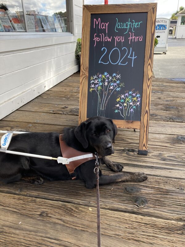 Genie is laying down on a wooden surface close to the Sausalito pier. She is wearing her harness and there is a sign behind her that reads, “May laughter follow you thru 2024”.