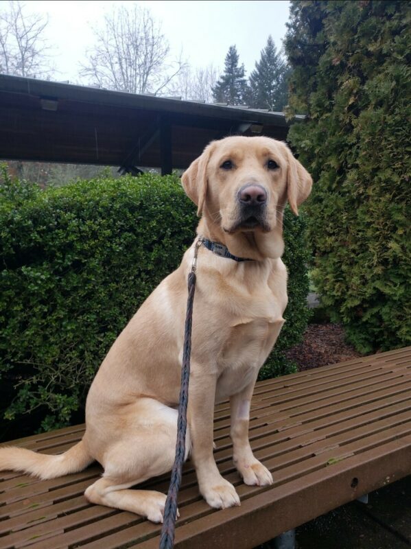 Alder is sitting on a bench on the Oregon Campus. He’s looking at the camera.