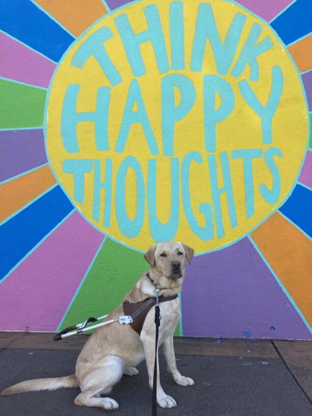 Gertie sits in harness in front of a colorful painted mural that says ‘Think Happy Thoughts.’