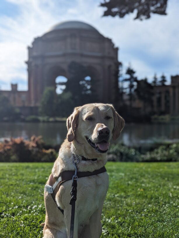 Leah sits in harness on a patch of grass across from the Palace of Fine Arts in San Francisco. Leah looks straight at the camera with a smile on her face, the sunshine beaming on her face from to top left. The background is blurred, but the pond and rotunda can still be seen.