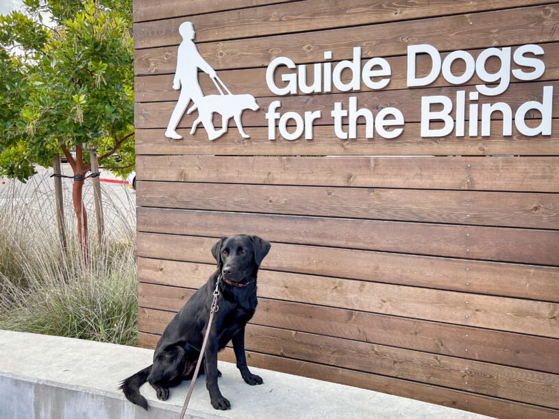 Reese sits on a cement wall in front of the wooden GDB sign on campus next to a green tree