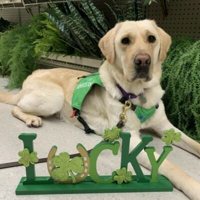 Cliff in his green service vest in front of a little desk sign that is green and says "lucky" with a horseshoe and shamrocks.