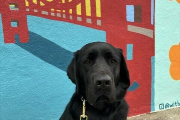 Elway sits in front of a colorful mural of the golden gate bridge.