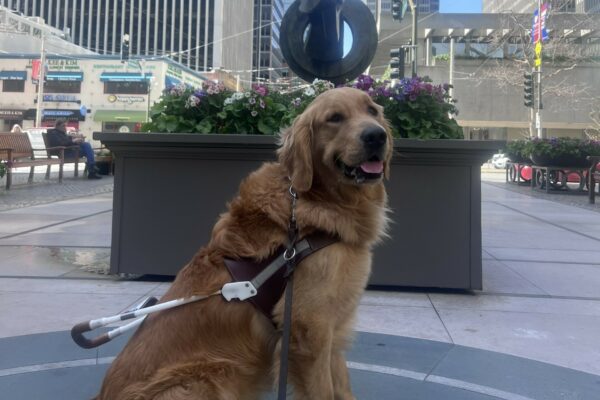 Willard is sitting in front of a statue with flowers in downtown San Francisco. He is wearing his harness and is smiling at the camera.
