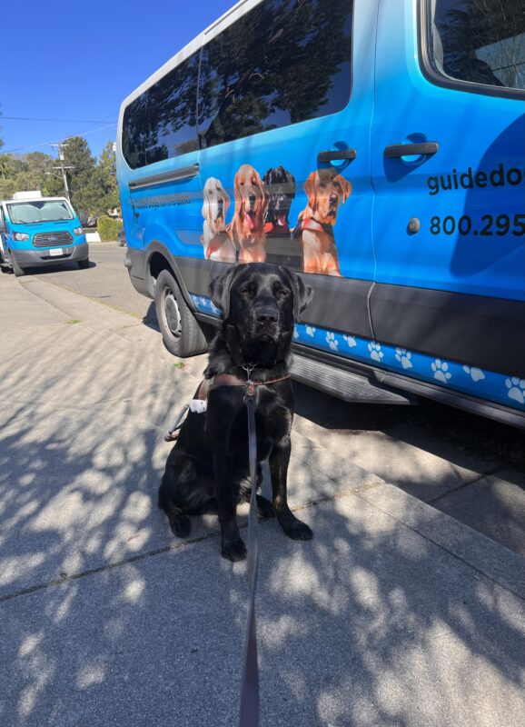 Joshua proudly wears his harness as he sits in front of one of blue training vans in town.
