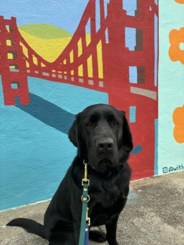 <p>Elway sits in front of a colorful mural of the Golden Gate Bridge.</p>
