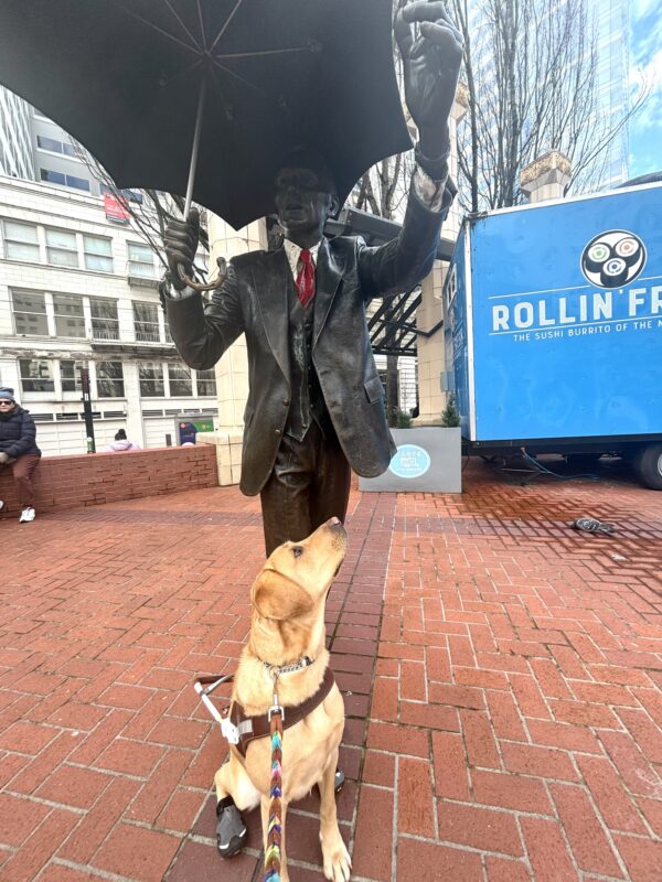 A yellow lab in harness and black booties looks up at a famous metal statue of a man in a suit holding an umbrella; known as 
