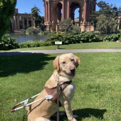 Kelly sits in harness in front of the Palace of Fine Arts building.