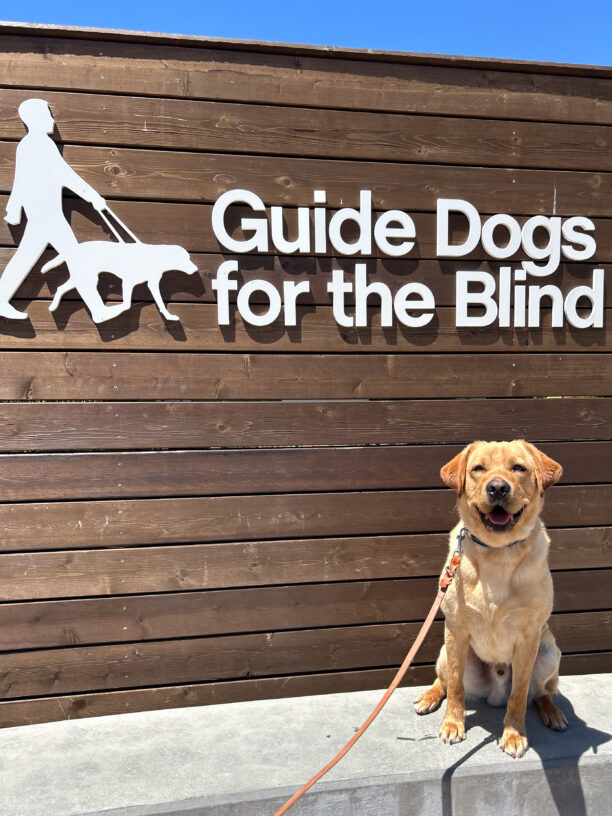 Julio sits smiling on the cement wall in front of the wooden GDB sign on campus, with blue sky peeking above