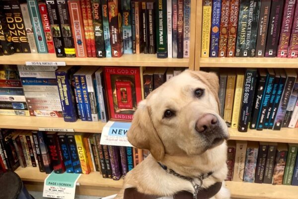 Lauren sits in harness in front of a bookshelf inside Powell's Books.