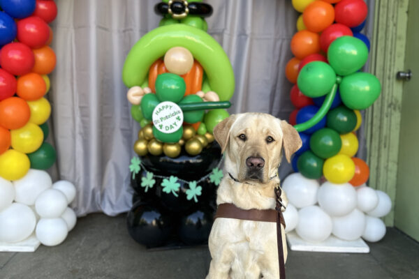 Madden sitting in front of a leprechaun made of balloons and a rainbow balloon arch.