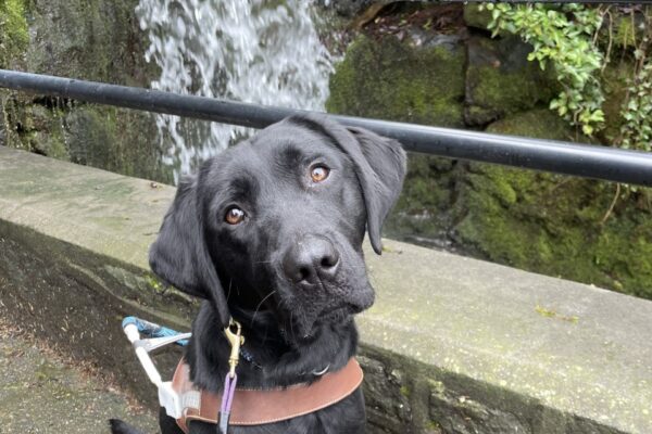 Valencia is looking at the camera sitting in front of a waterfall. Her head is tilted to the side.