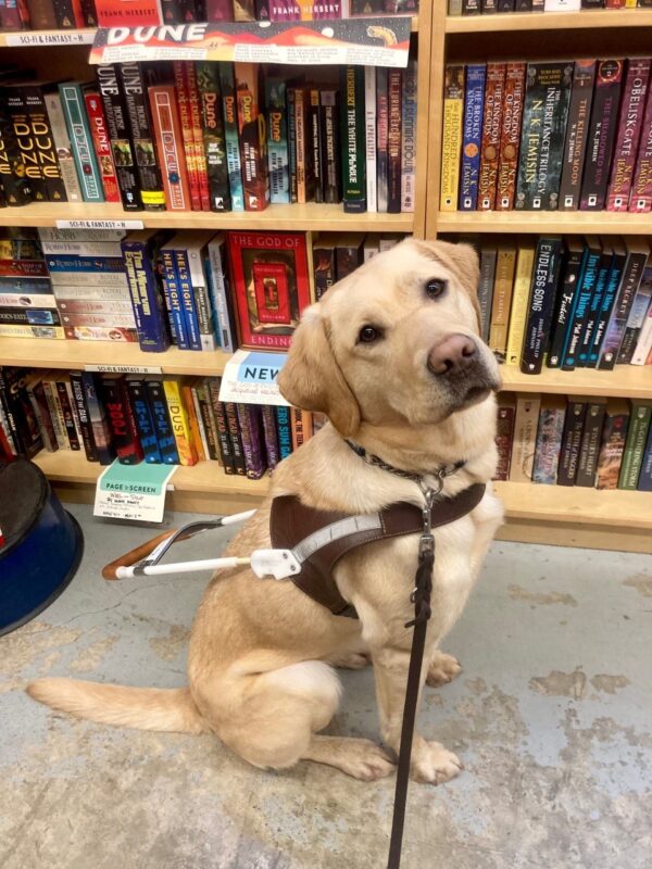 Lauren sits in harness in front of a bookshelf inside Powell's Books.