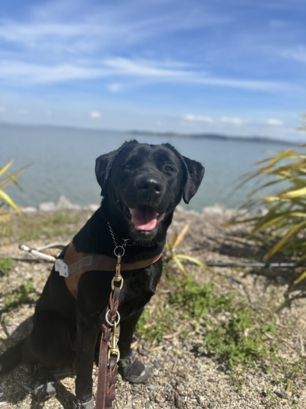 Natalia in harness sitting in front of the bay.
