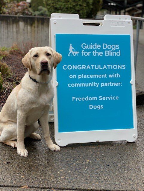 Announcement photo of Sloan's acceptance to Freedom Service Dogs. She's sitting next to a sign congratulating her.