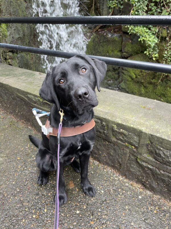 Valencia is looking at the camera sitting in front of a waterfall. Her head is tilted to the side.
