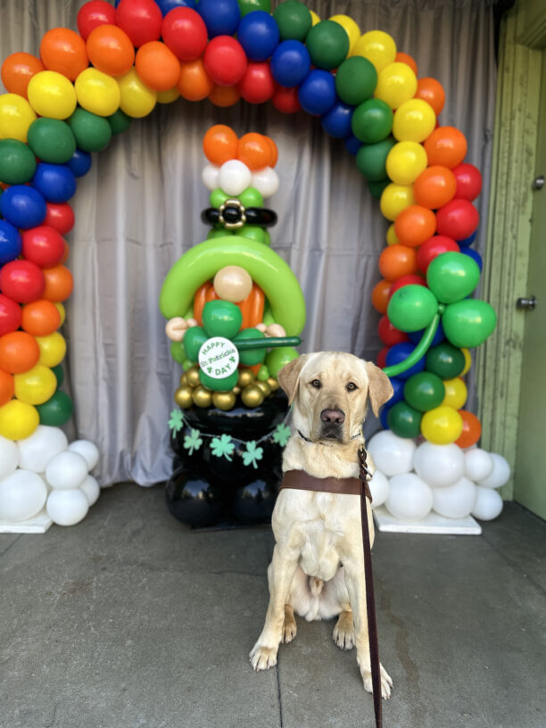 Madden sitting in front of a leprechaun made of balloons and a rainbow balloon arch.