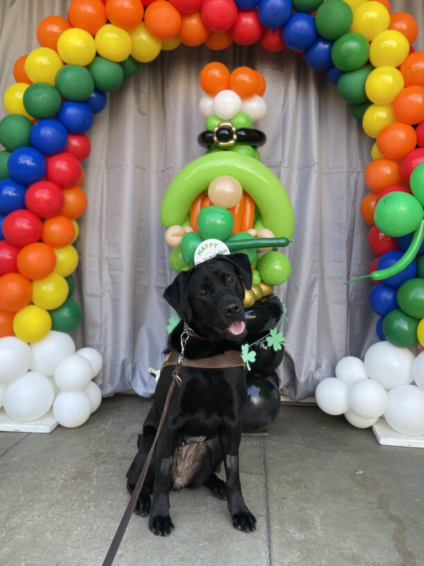 Photo of Noella in front of a St. Patrick’s day balloon arch that looks like a rainbow with clouds at the bottom and a balloon leprechaun is immediately behind her. Her head is cocked to the left as she looks at the camera with an open-faced smile.