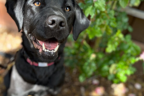 Harper looks towards the camera with a happy smile.