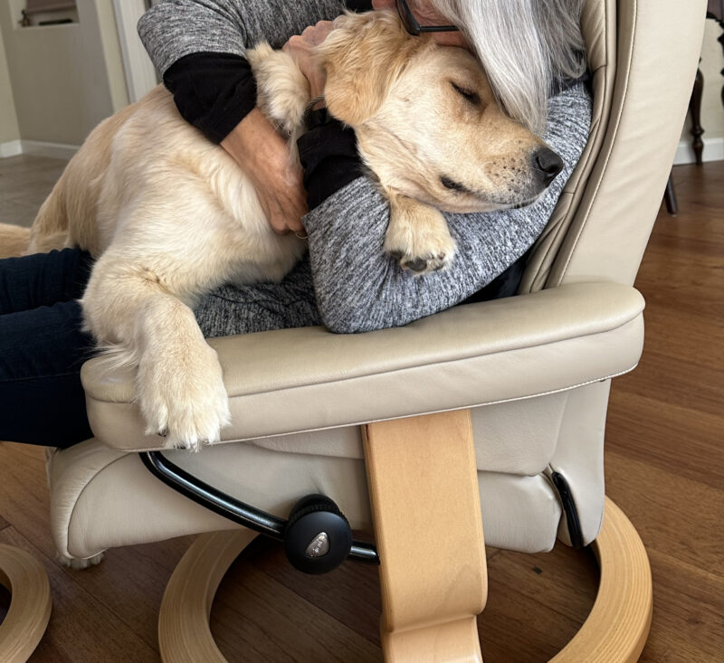 Sparkle climbing into a chair, getting a hug from her foster care provider