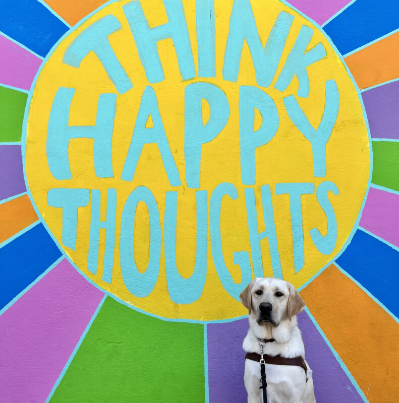 Ken is wearing his harness sitting in front of a colorful mural. The words Think Happy Thoughts appear in the mural.