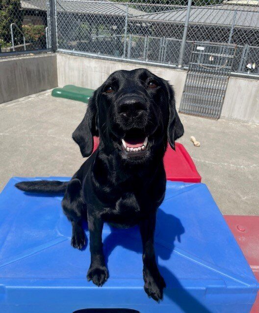 Freya is sitting on a blue platform in community run while smiling at the camera.