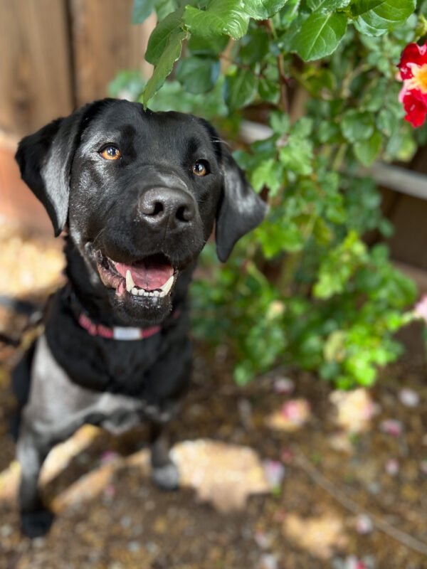 Harper looks towards the camera with a happy smile.
