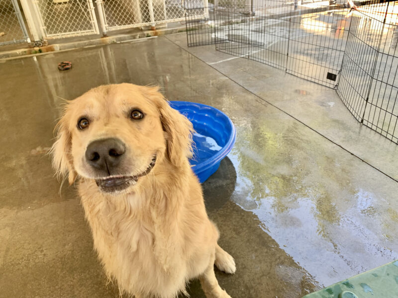 Brooks is sitting in a cement community run area next to a pool. His lips are caught under his teeth, making a silly and smiley face.