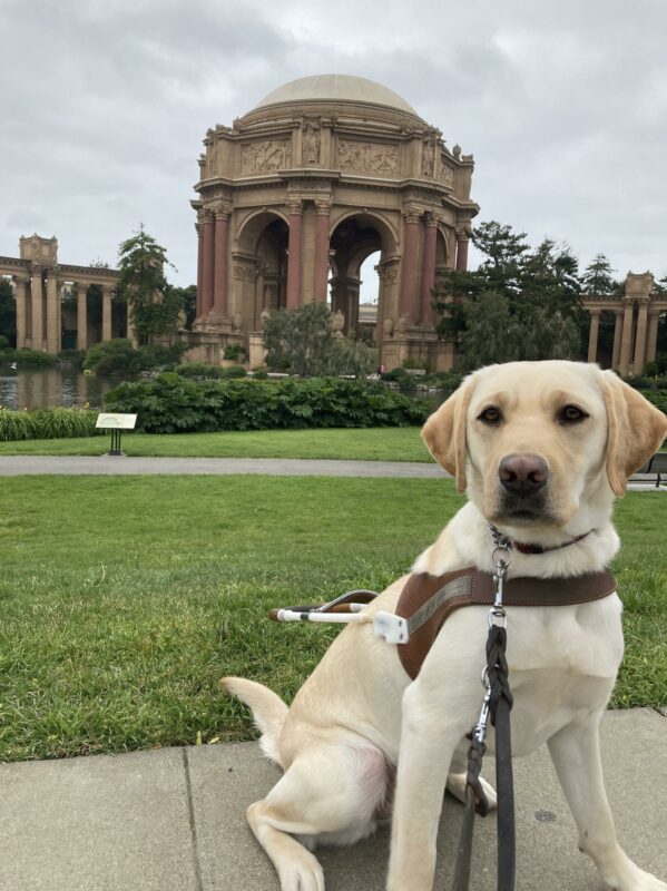 PD 1: Jen sits in harness in front of some grass with the Palace of Fine arts building in the background.