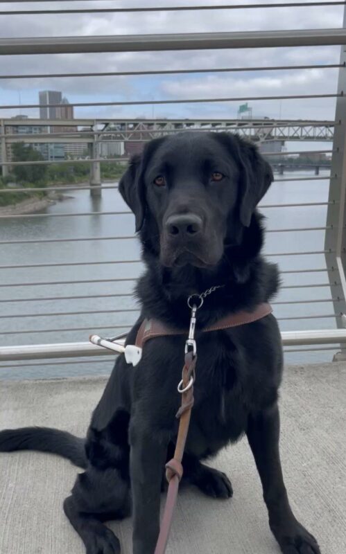 Toa is sitting in harness on a large bridge in Portland. She is looking at the camera.