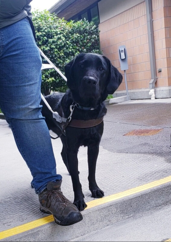 Lennon is doing guidework. Hes just stopped at a set of stairs that are going down. Hes looking into the camera with a deep stare that goes into your soul. Theres greenery in most of the background.