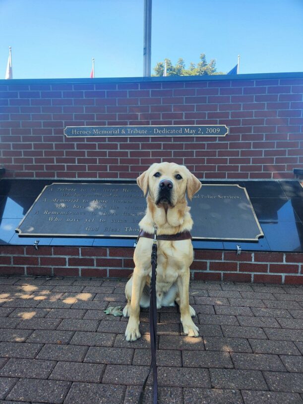 Gabe sits, in harness, in front of the Heroes Memorial in Gresham, OR. He is facing the camera with a calm expression on his face.