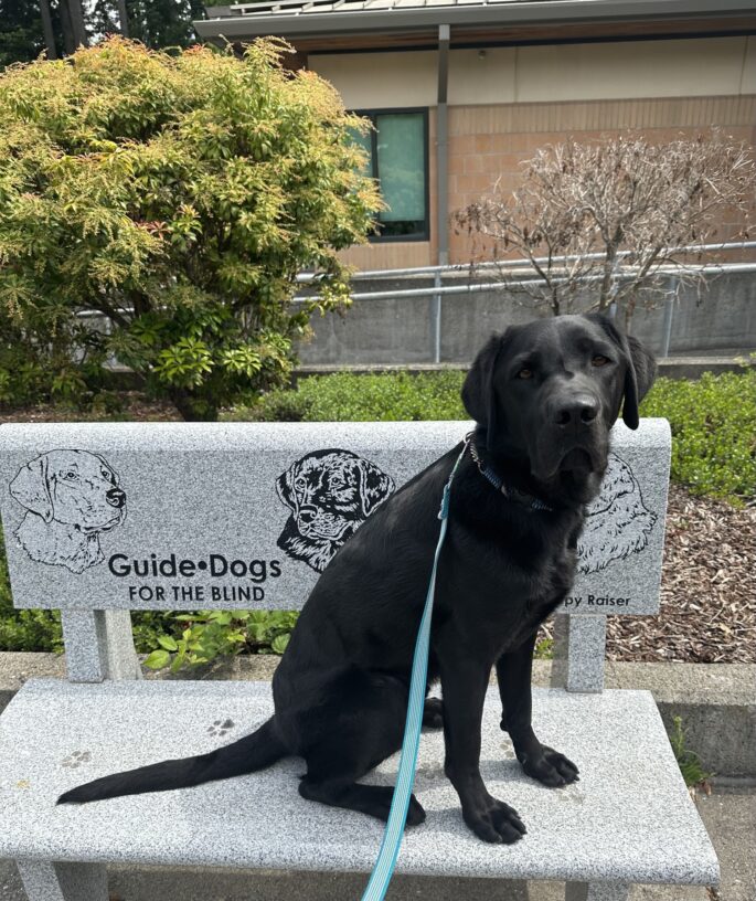 Rafferty is sitting on a GDB bench in front of campus