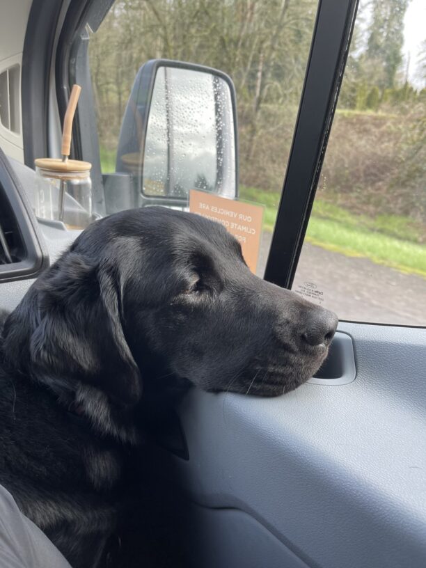 Toa is riding in a vehicle with her head rested on the car door panel. She is looking out the window