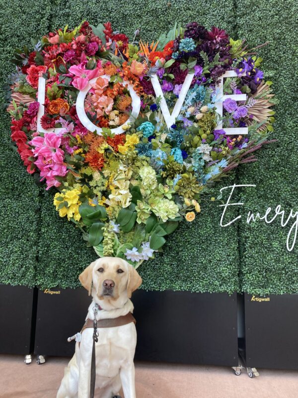 Jen is sitting in harness in front of a colorful heart shaped flower wall with the word ‘love’ on it.