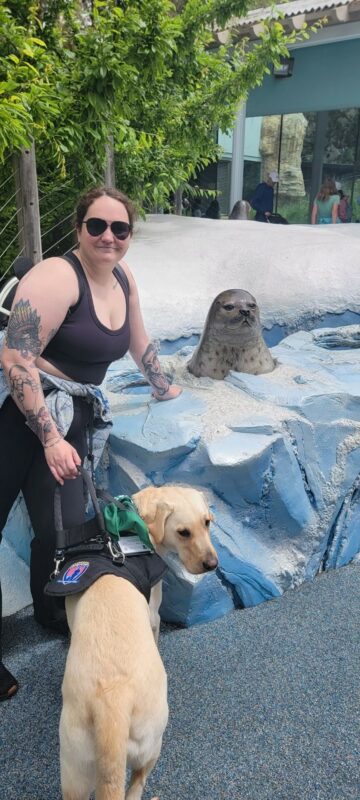 <p>Frankie and Sam posing in front of a statue of a seal in water. Frankie is wearing a black mobility harness and green bandana.</p>