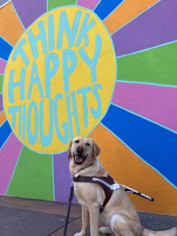 Grateful, a female Yellow Labrador Retriver, sits in harness in front of a colorful mural that says