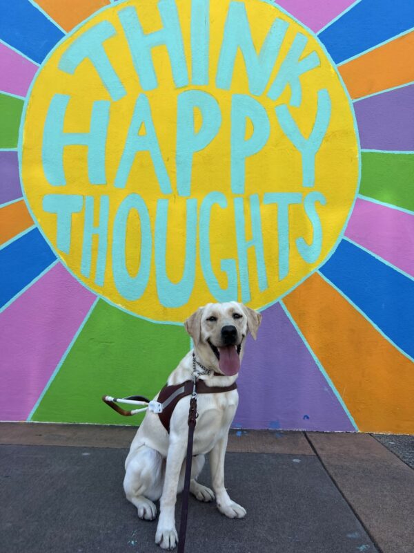Mahi sits in harness with a big smile on her face and her tongue out. In the background is a hand painted mural in bright colors with the words