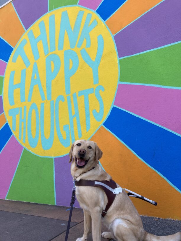 Grateful, a female Yellow Labrador Retriver, sits in harness in front of a colorful mural that says 