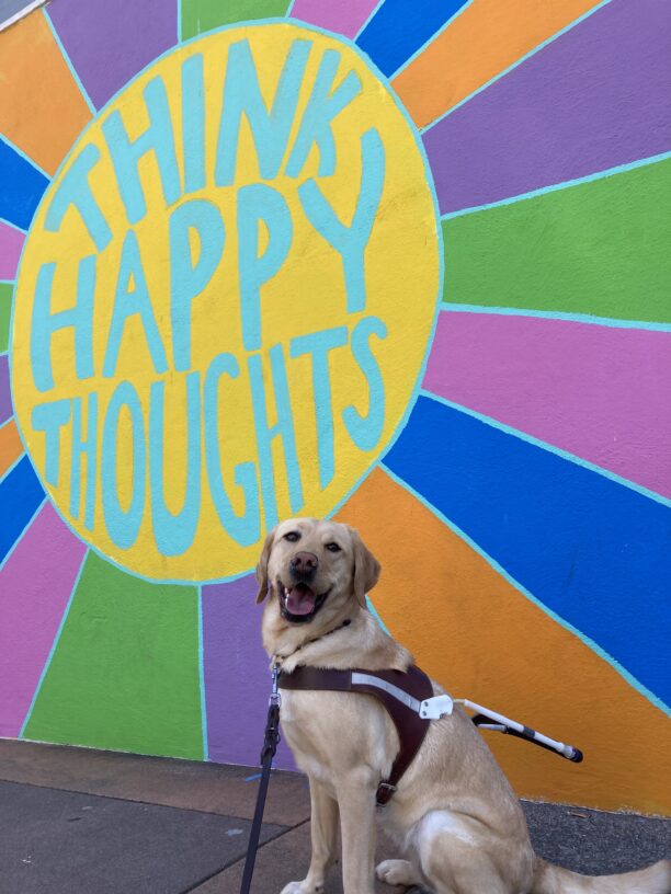 Grateful, a female Yellow Labrador Retriver, sits in harness in front of a colorful mural that says