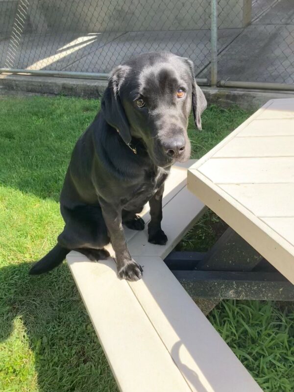 Jess sits on a bench, staring just past the camera with her big, brown eyes.