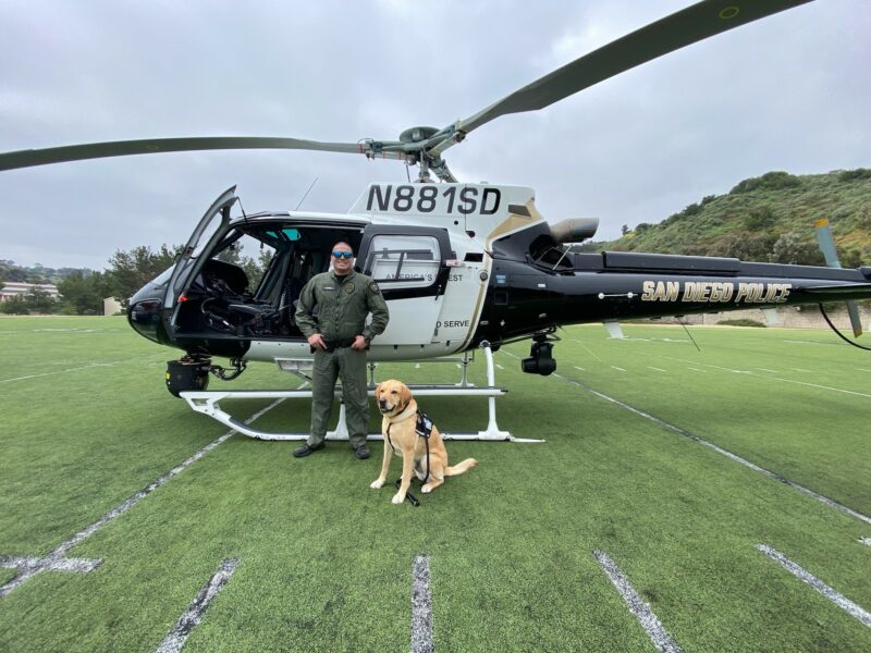 Yellow Lab Lyle wears a black vest and sits next to a San Diego police officer smiling and wearing green as both stand in front of a black and white helicopter.