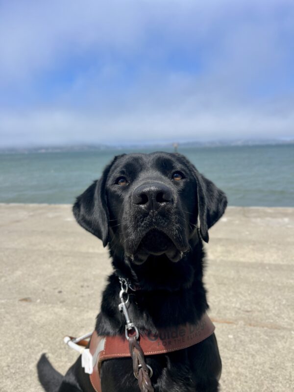 <p>Joel is sitting on a patch of concrete while wearing his harness. Behind him the San Francisco Bay is visible and there is a small beach with tan sand. The sky light blue with a patch of fog.</p>