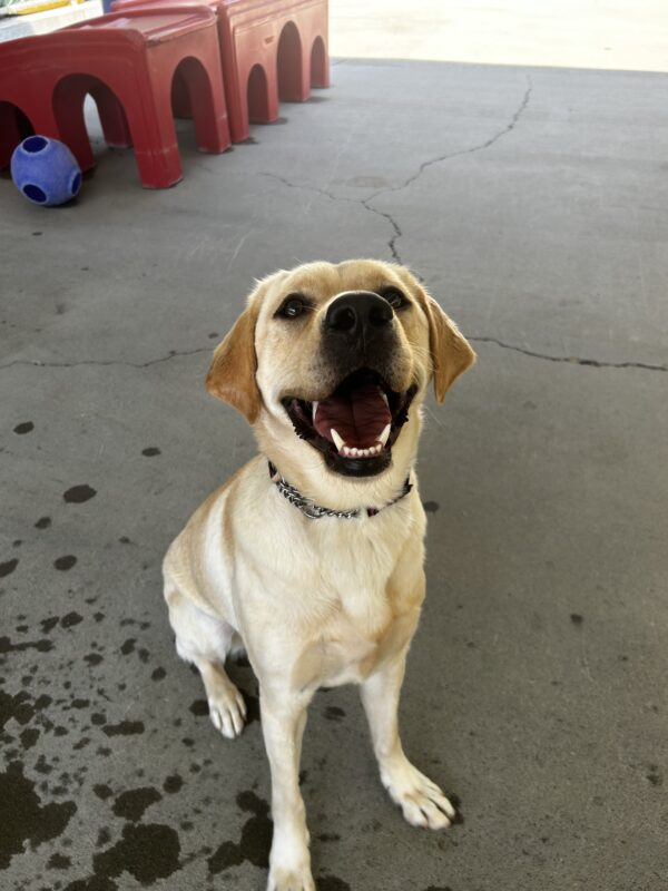 Melinda is happily sitting in CR, she has a big smile on her face while looking up at the camera