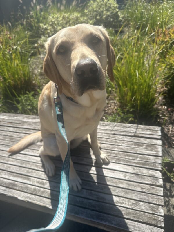 Penelope is sitting on a bench on campus. It is a very sunny day and she is looking at the camera.