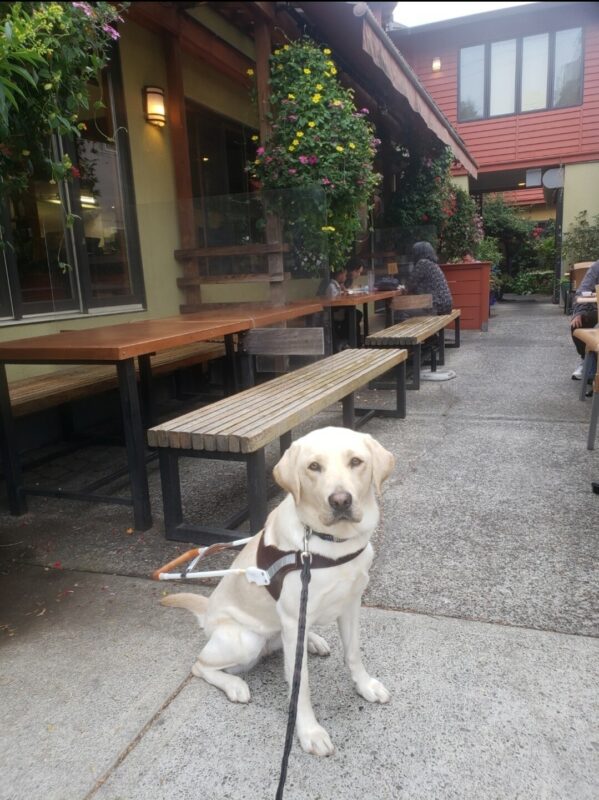 Debbie is sitting in front of the outside seating area of